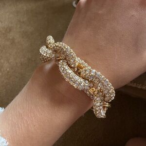 NWT Luxurious Gold pave Crystal chain link Bracelet